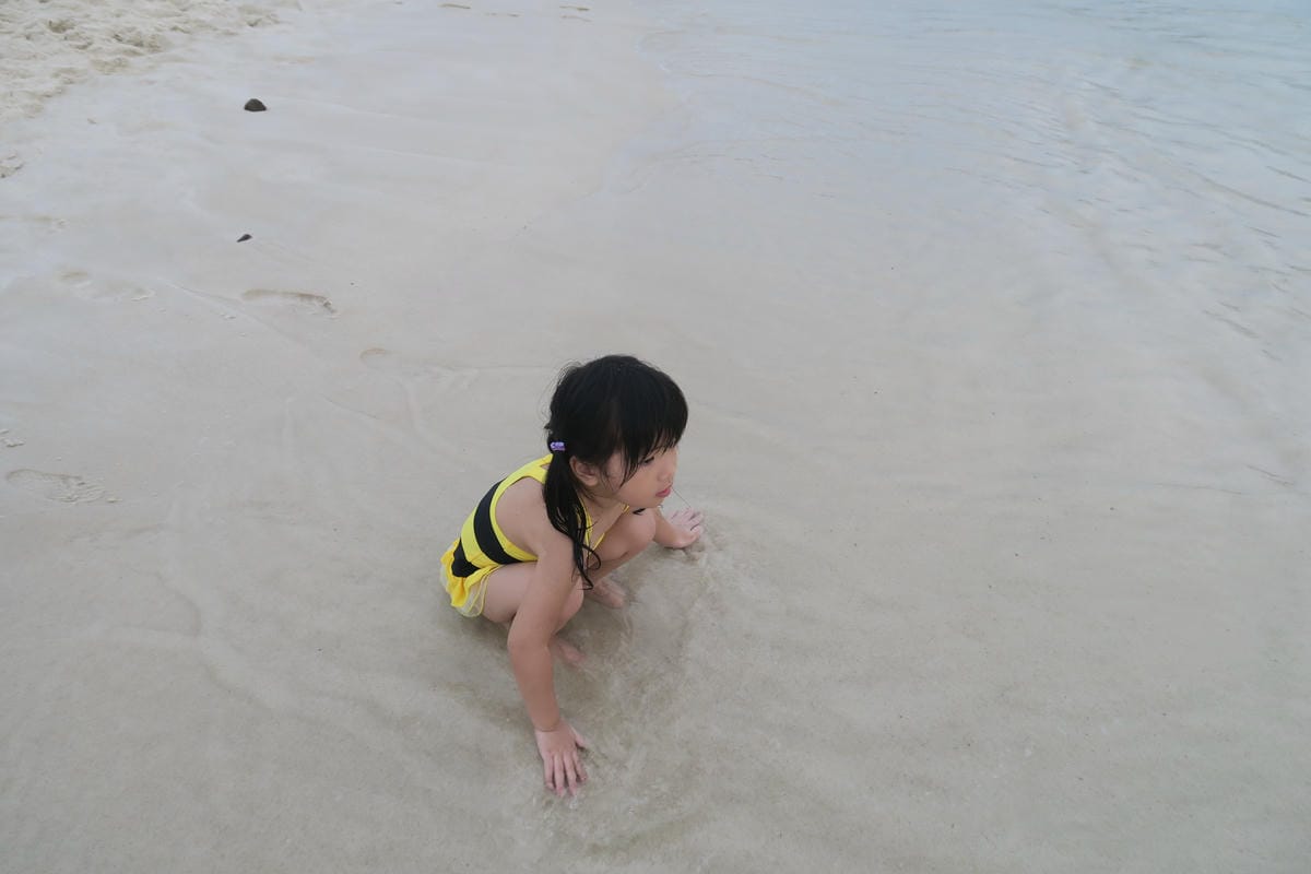 IMG_0229.JPG IMG_0229.JPG