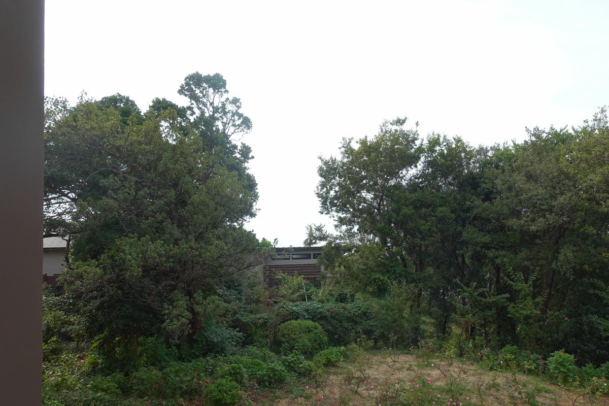 0070.JPG 0070.JPG