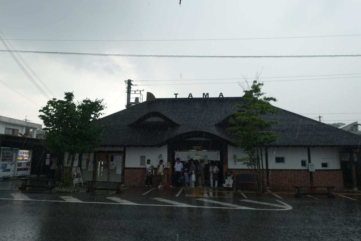 0081.JPG 0081.JPG
