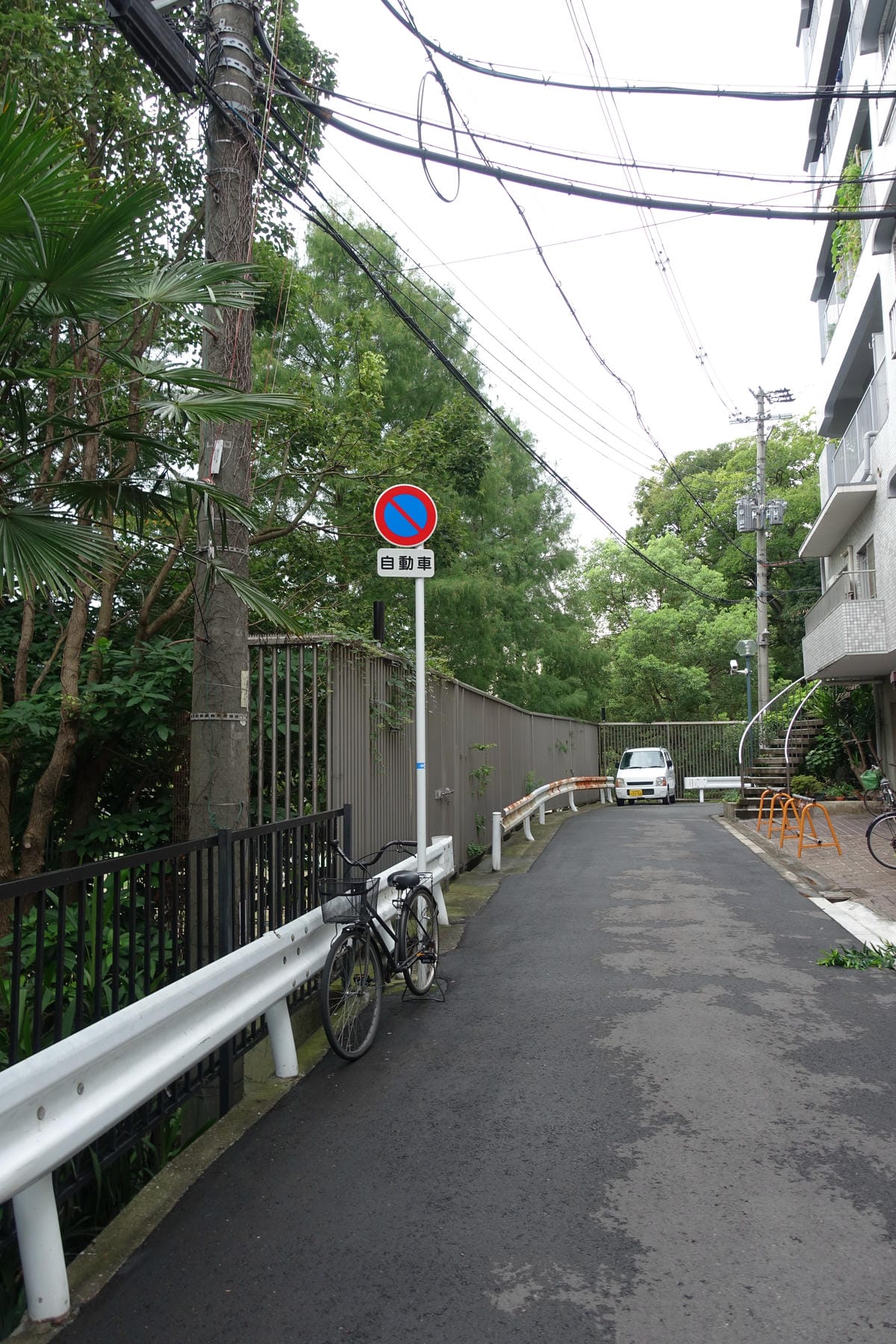 0006.JPG 0006.JPG