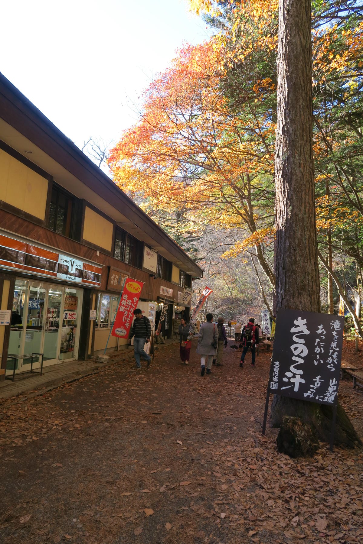 0191.JPG 0191.JPG