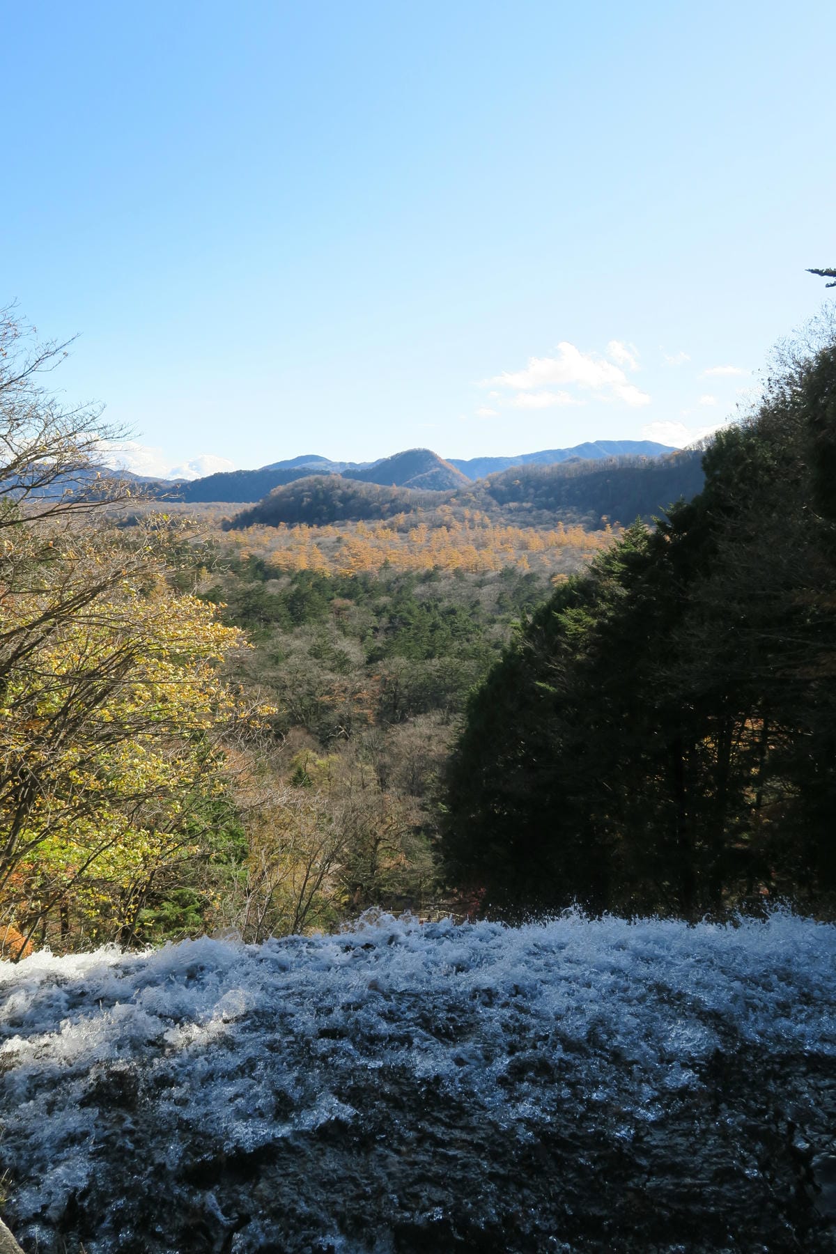 0091.JPG 0091.JPG