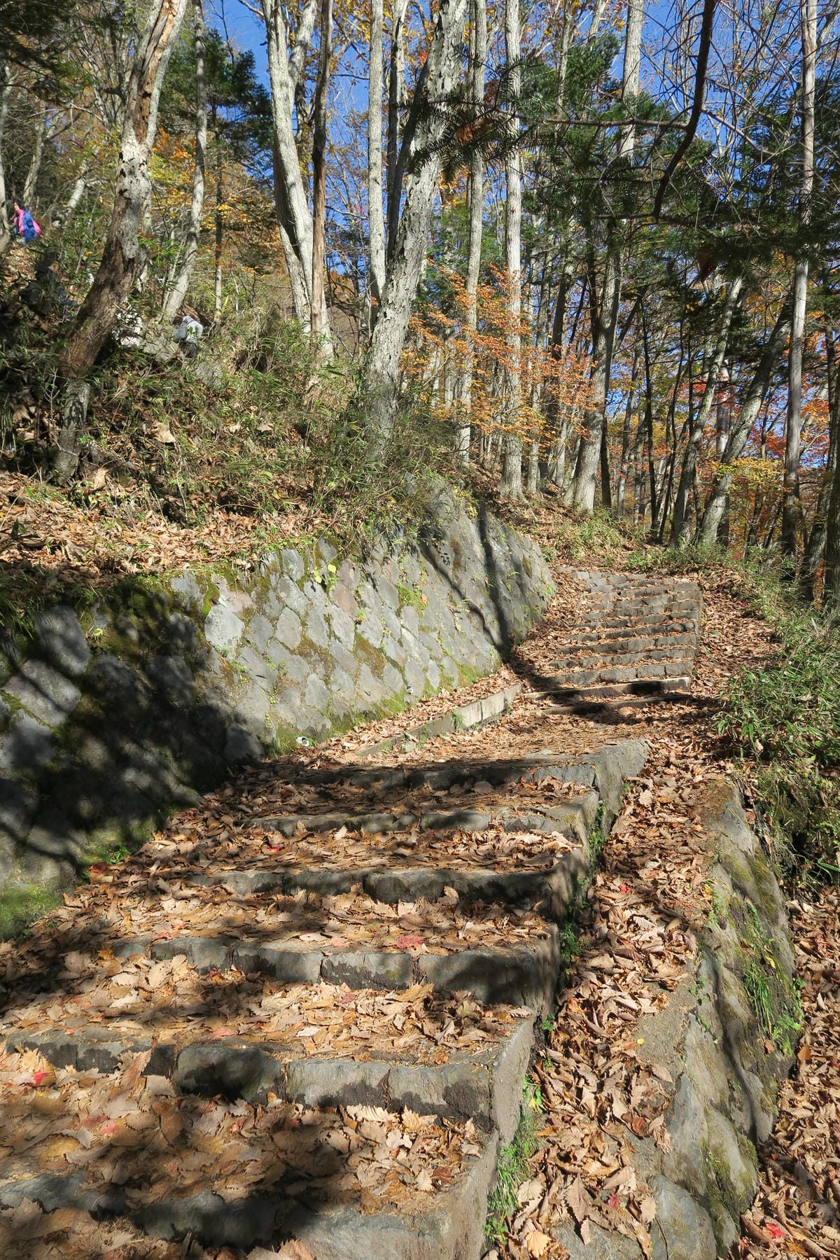 0103.JPG 0103.JPG