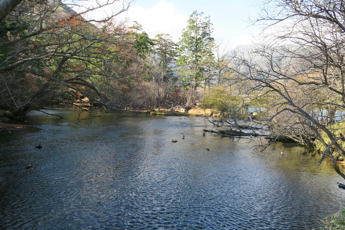 0093.JPG 0093.JPG