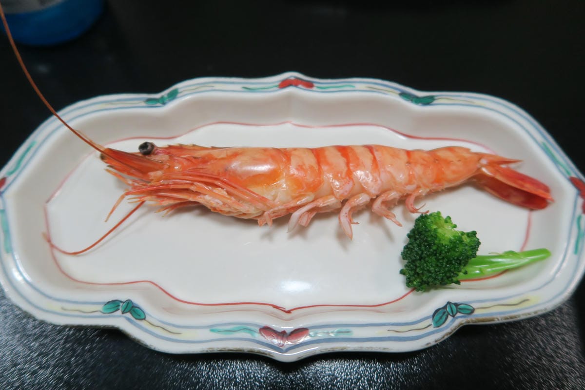 0051.JPG 0051.JPG