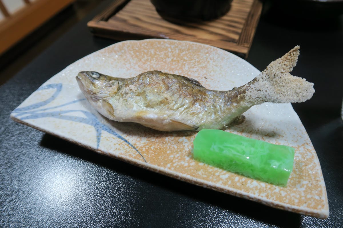 0054.JPG 0054.JPG