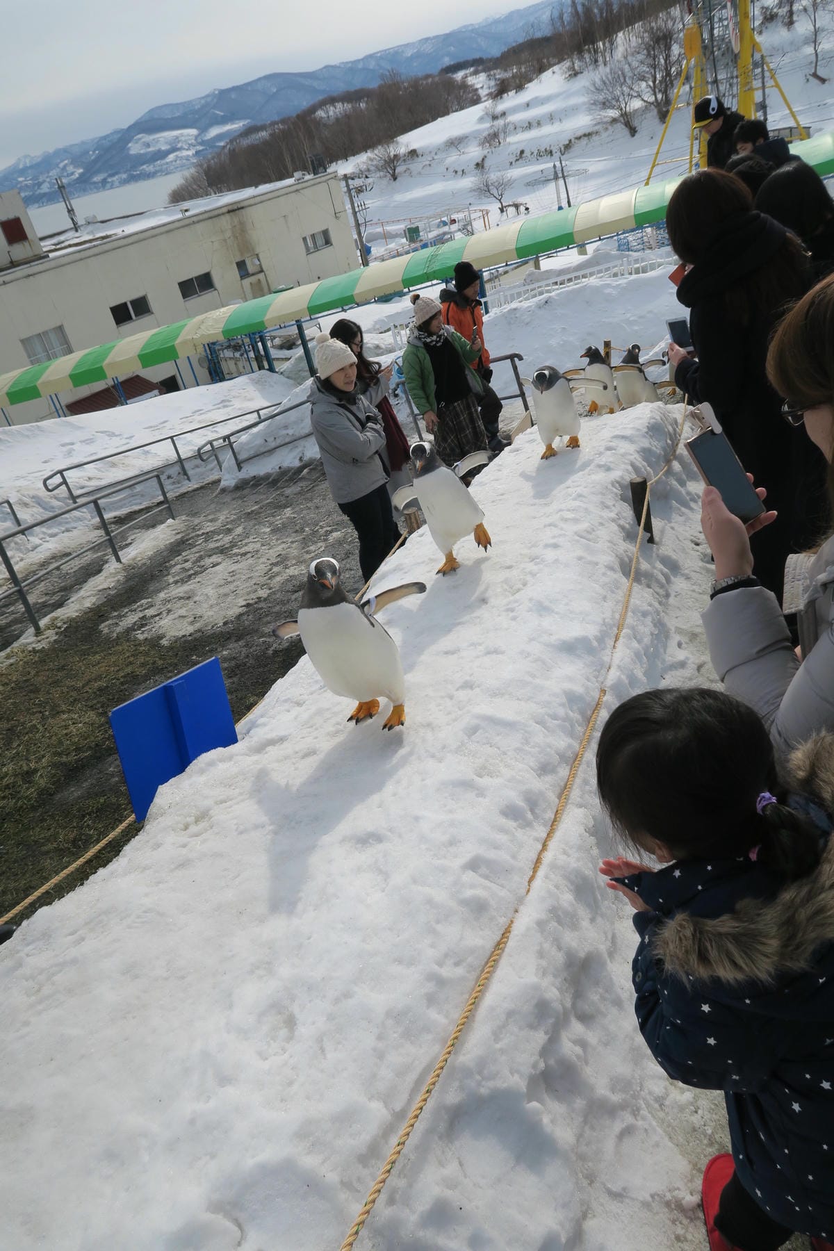 IMG_0361.JPG IMG_0361.JPG