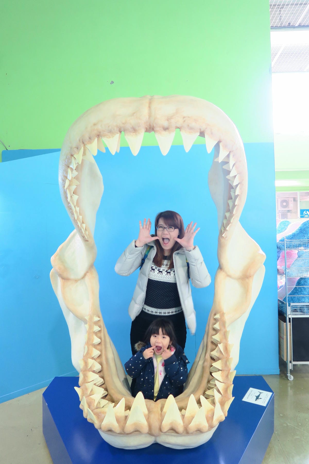 IMG_0303.JPG IMG_0303.JPG