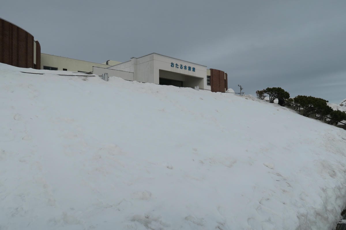 IMG_0293.JPG IMG_0293.JPG