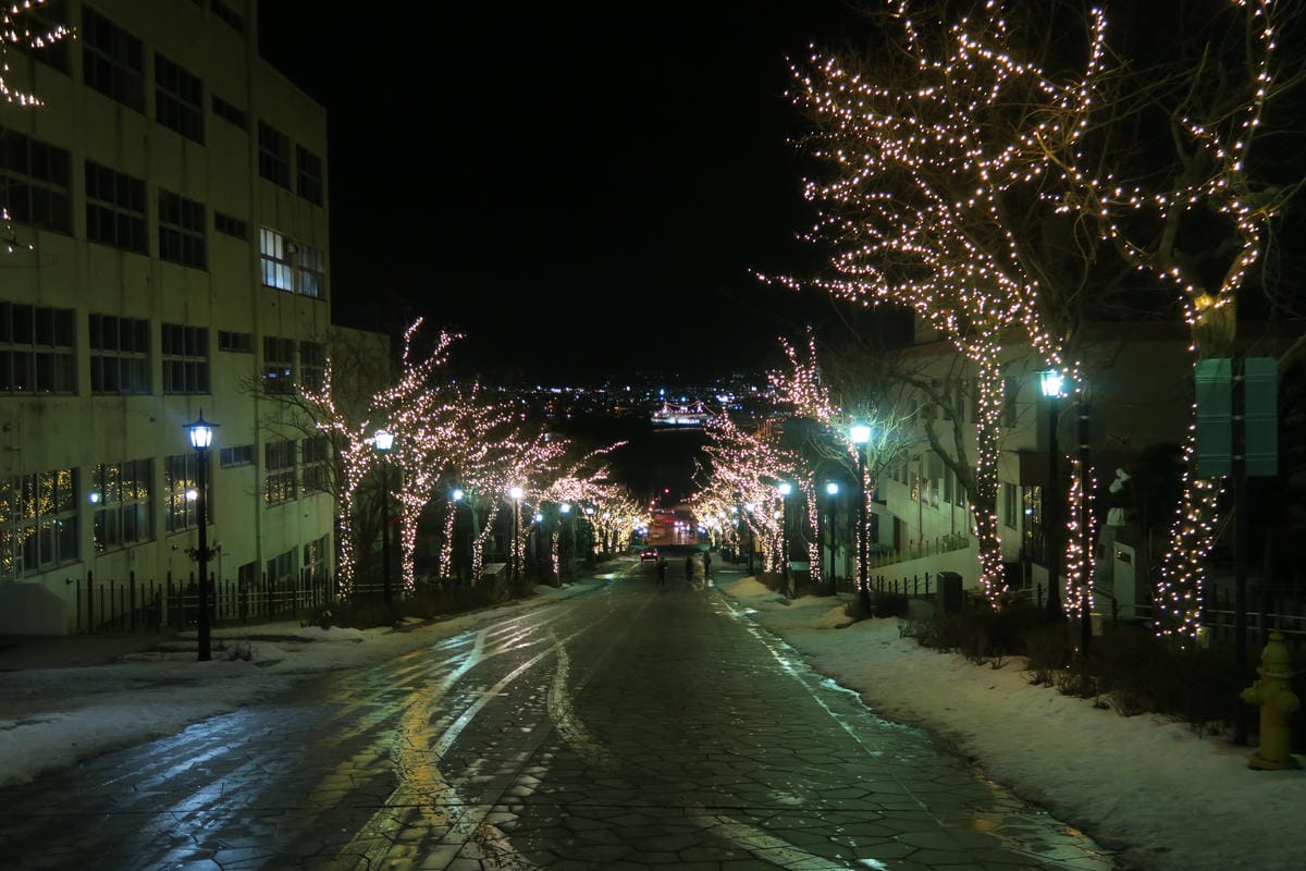 IMG_1154.JPG IMG_1154.JPG