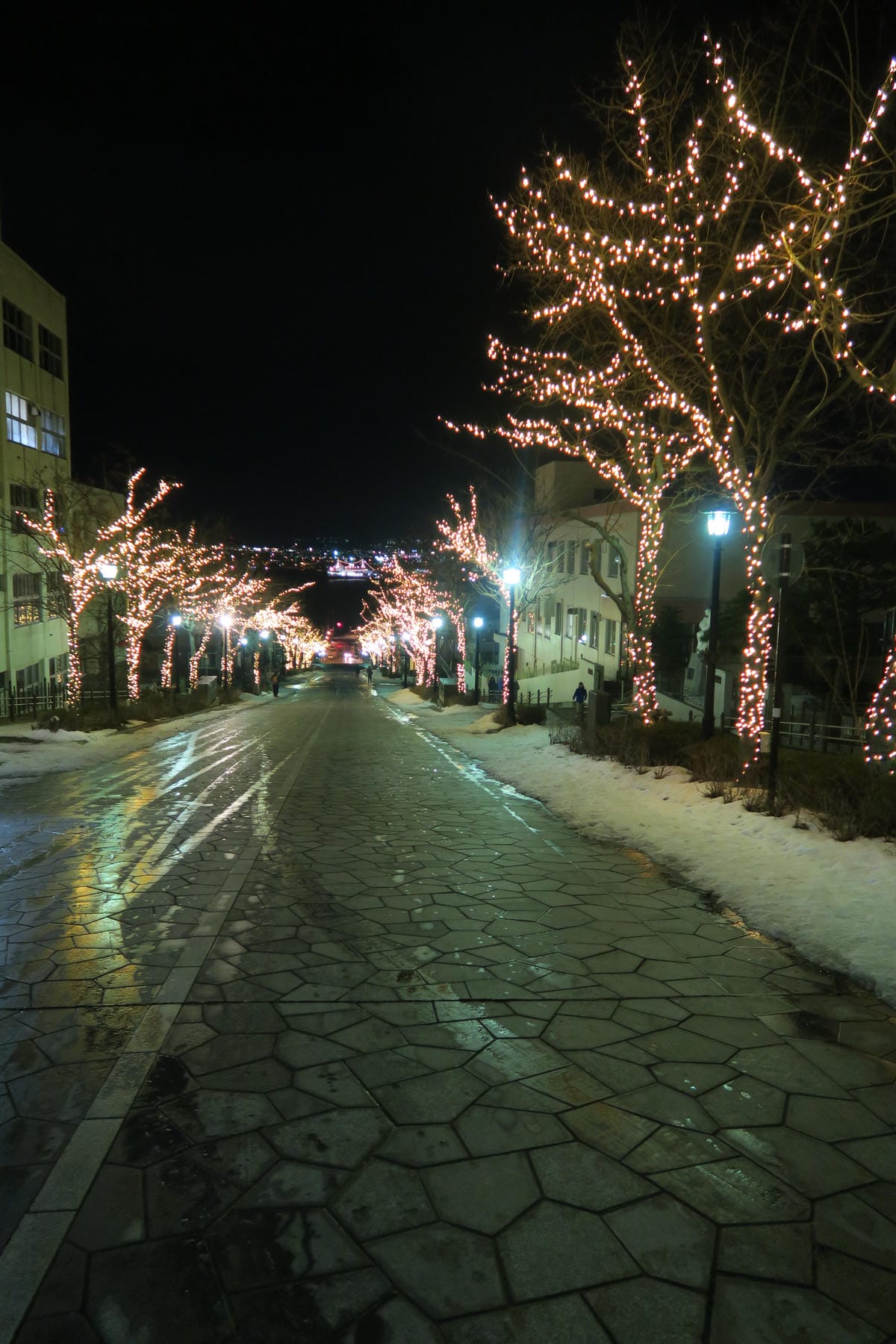 IMG_1164.JPG IMG_1164.JPG