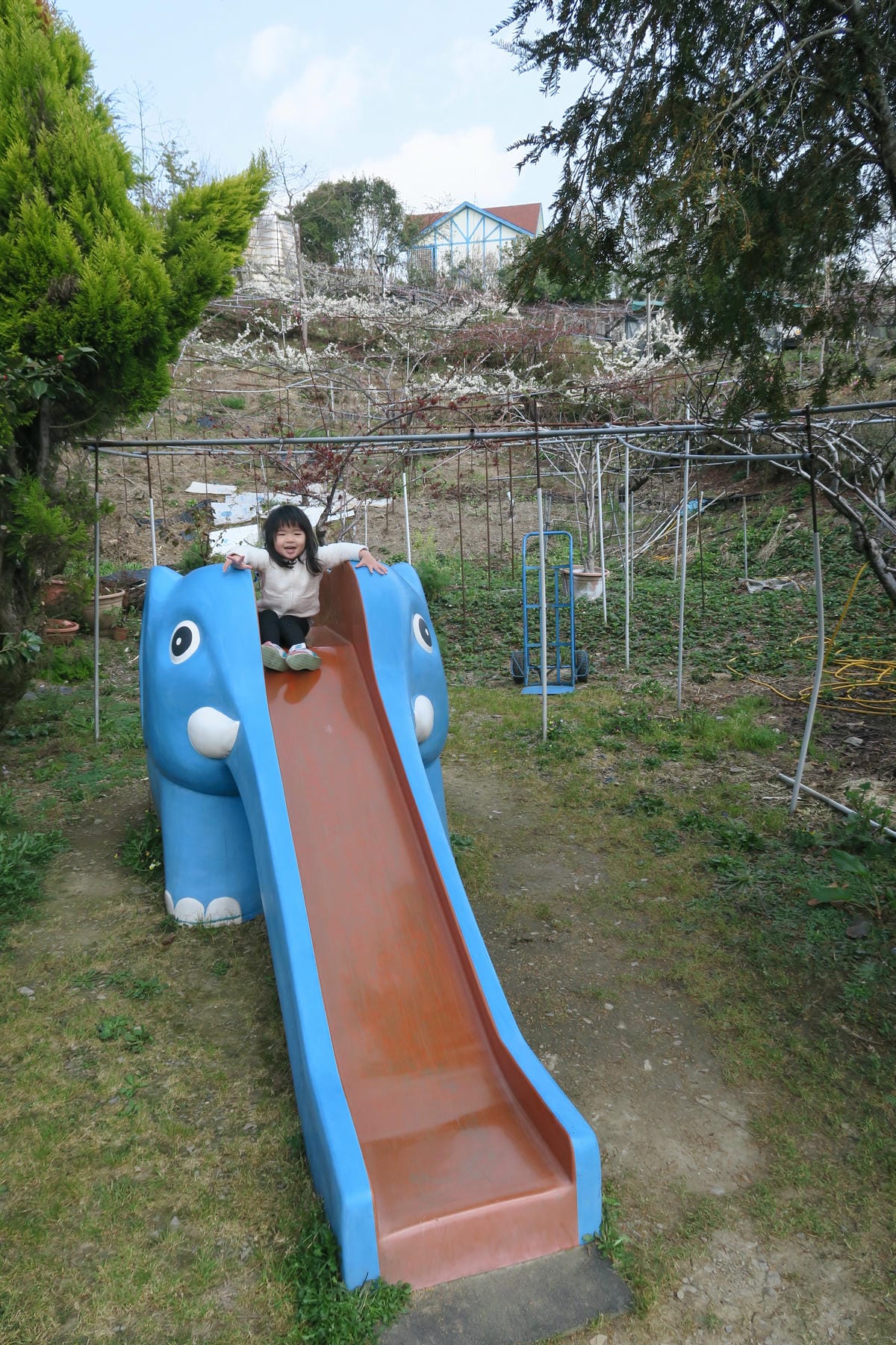 IMG_0154.JPG IMG_0154.JPG