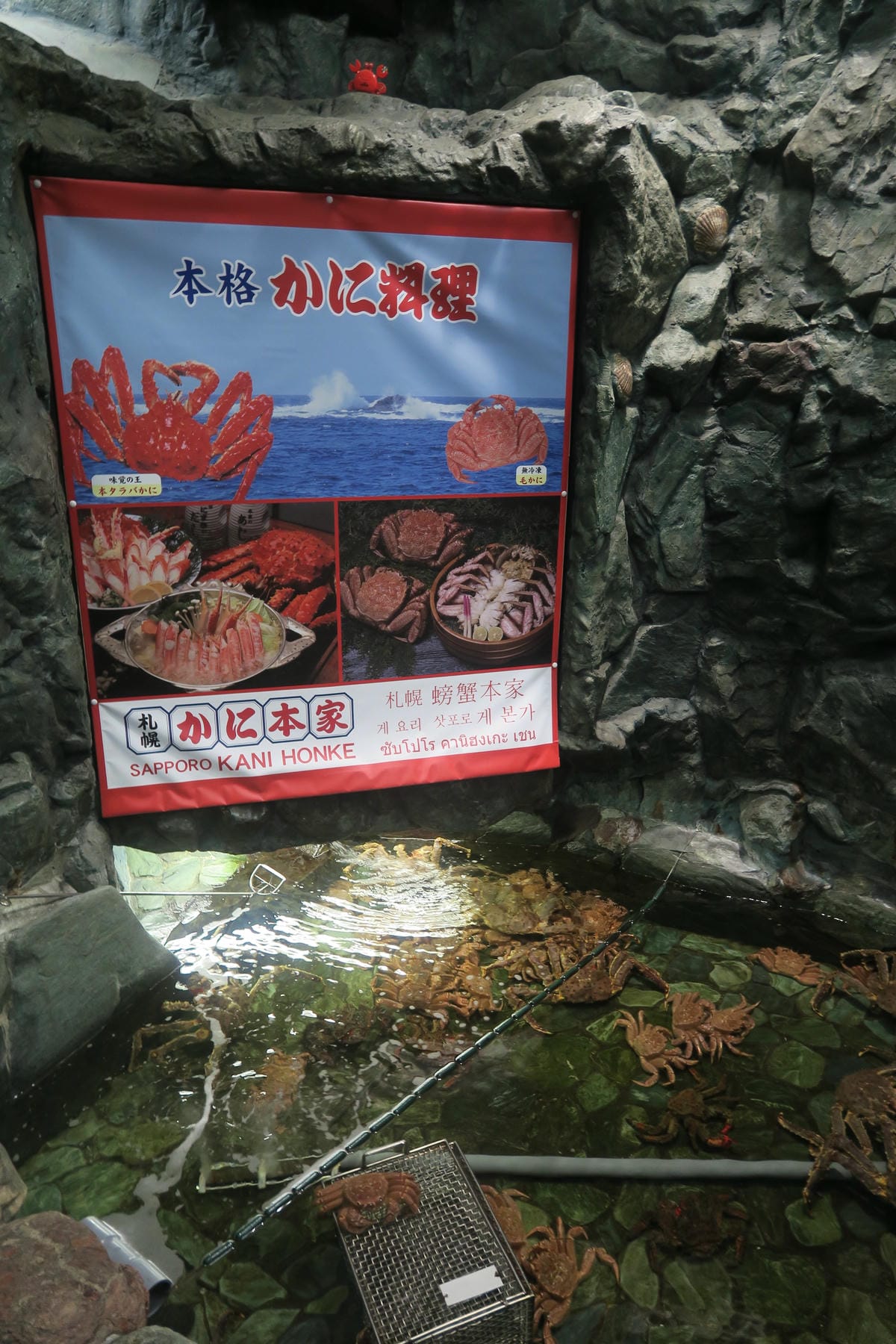 【札幌】螃蟹本家(かに本家) 薄野店螃蟹好好味