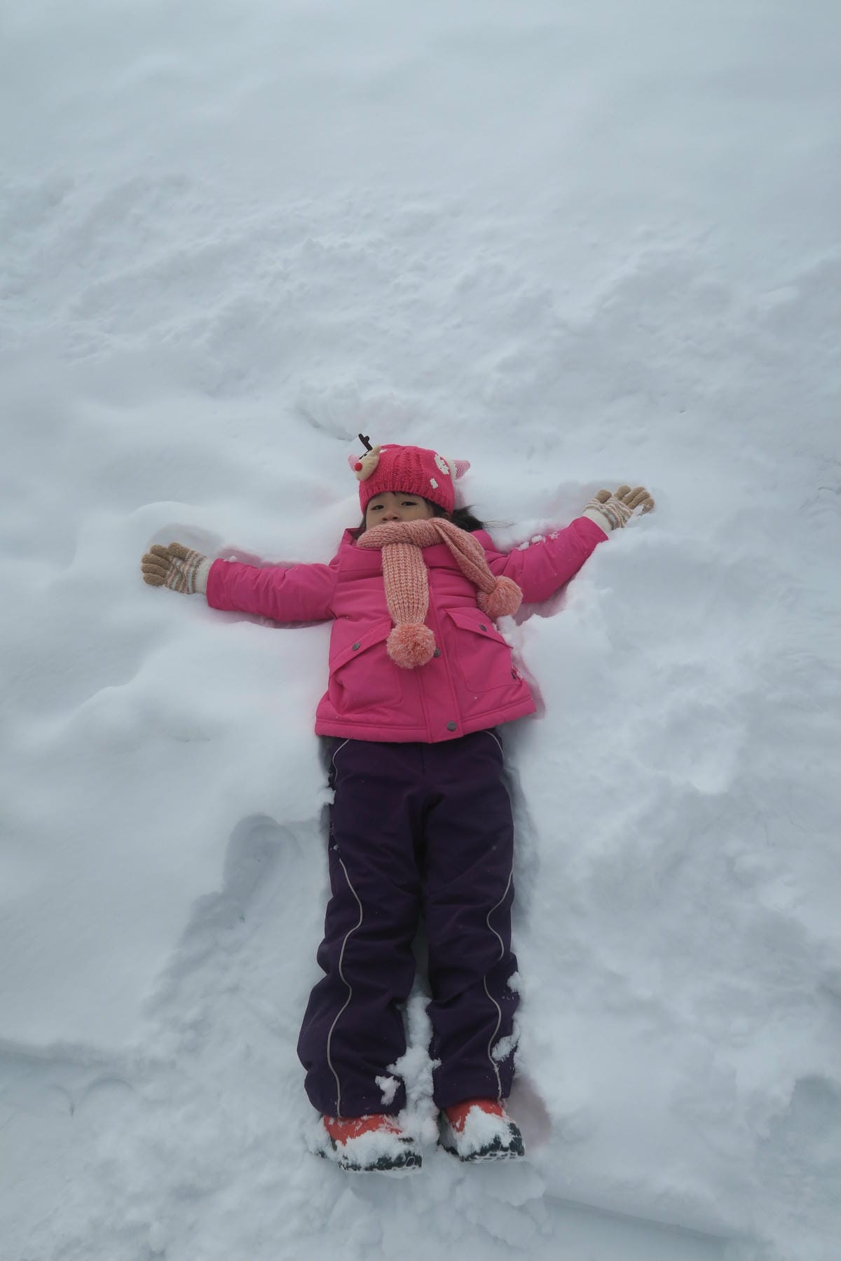 嚴冬雪見の日本東北&北海道 Day3 雪之旭山動物園親子之旅 嚴冬雪見の日本東北&北海道 Day3 雪之旭山動物園親子之旅
