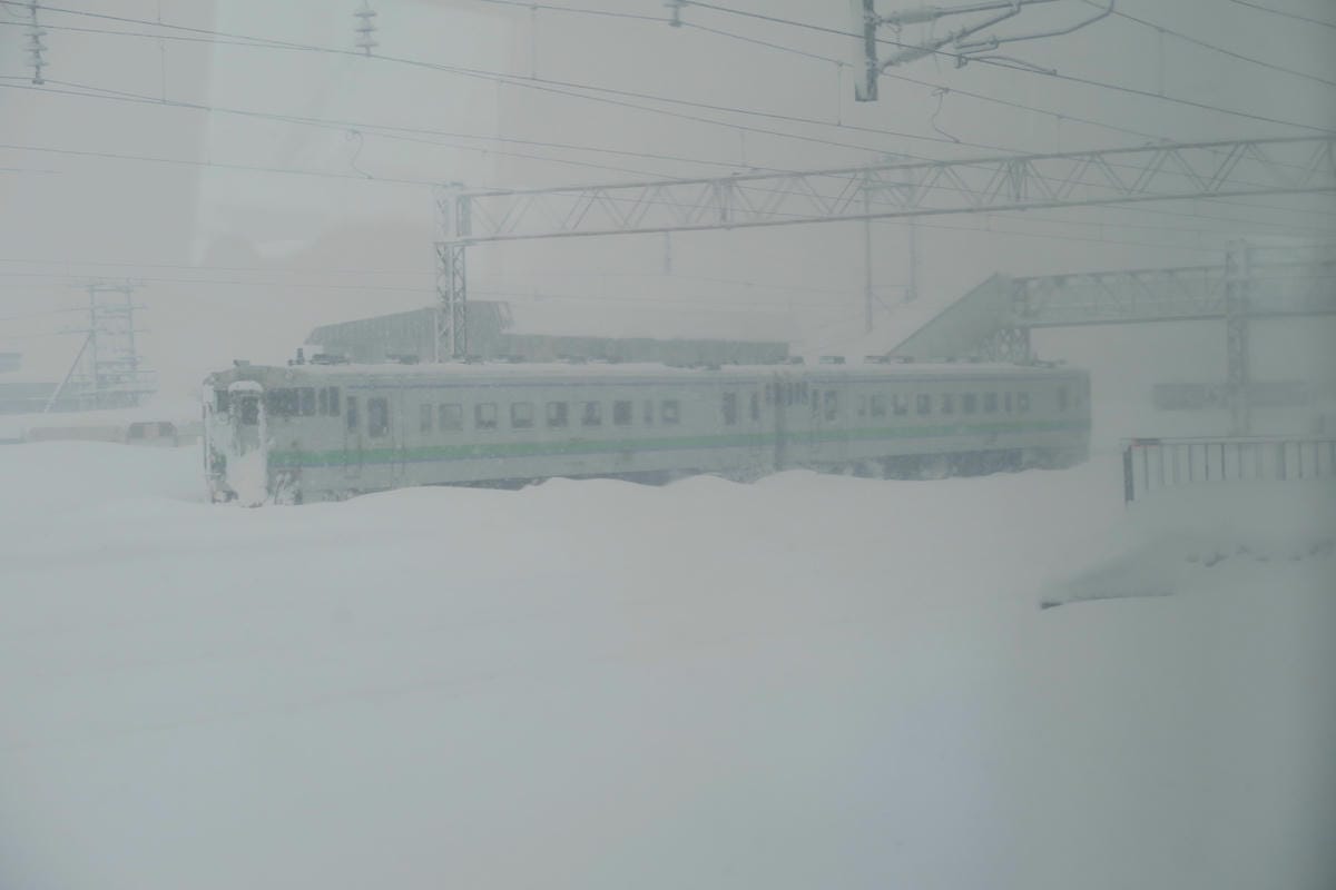 嚴冬雪見の日本東北&北海道 Day3 雪之旭山動物園親子之旅 嚴冬雪見の日本東北&北海道 Day3 雪之旭山動物園親子之旅