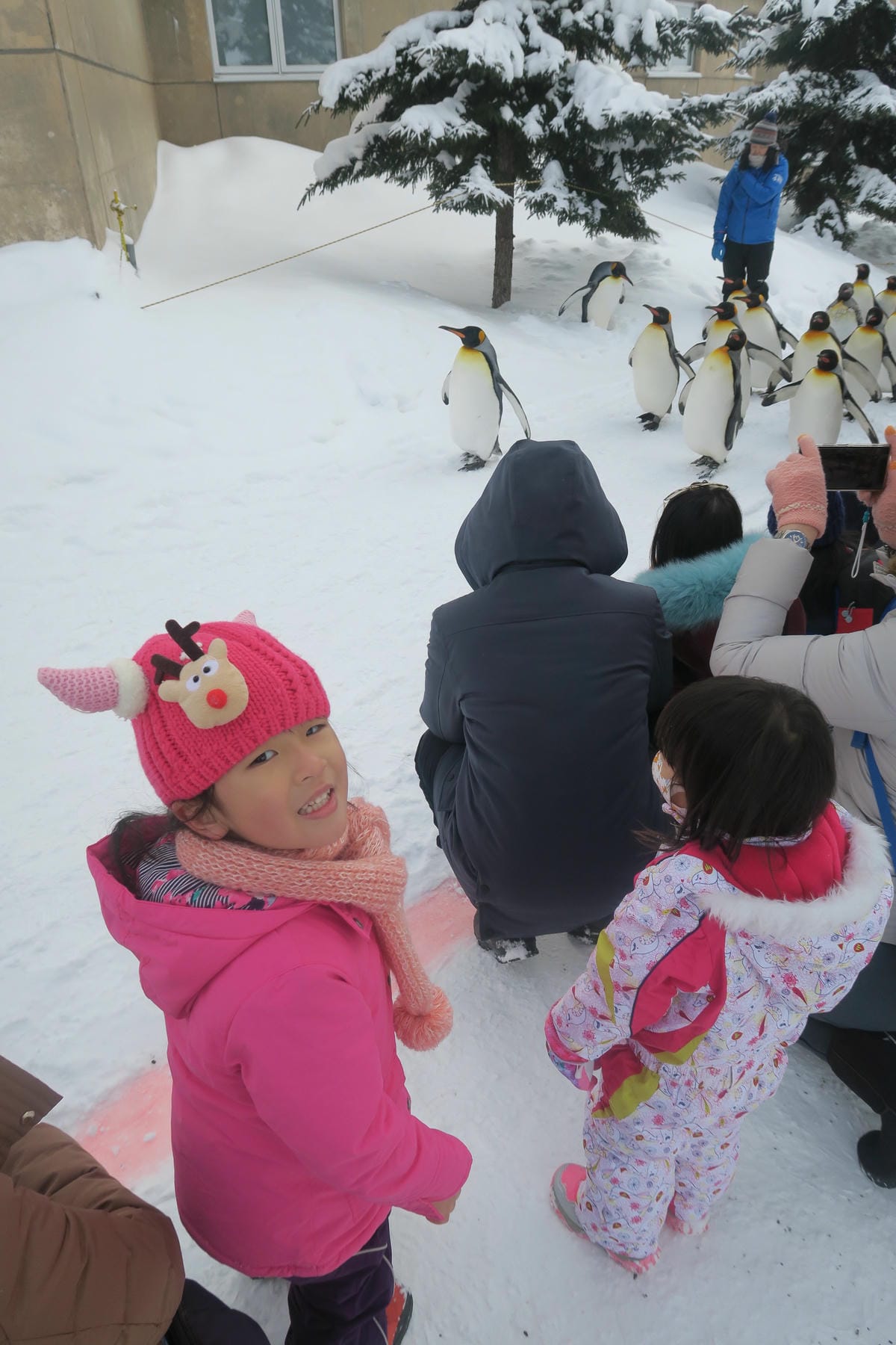 嚴冬雪見の日本東北&北海道 Day3 雪之旭山動物園親子之旅 嚴冬雪見の日本東北&北海道 Day3 雪之旭山動物園親子之旅