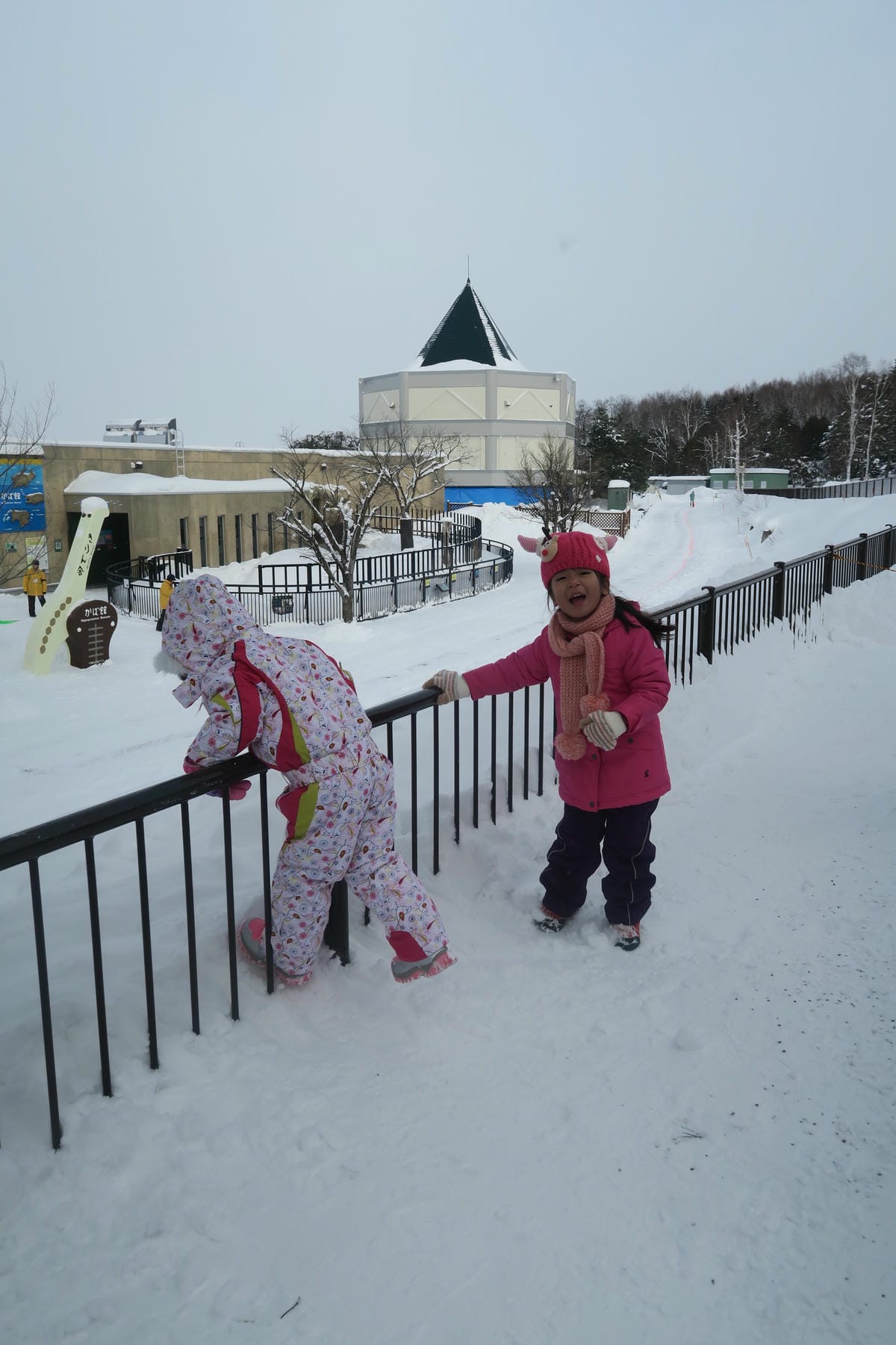 嚴冬雪見の日本東北&北海道 Day3 雪之旭山動物園親子之旅 嚴冬雪見の日本東北&北海道 Day3 雪之旭山動物園親子之旅