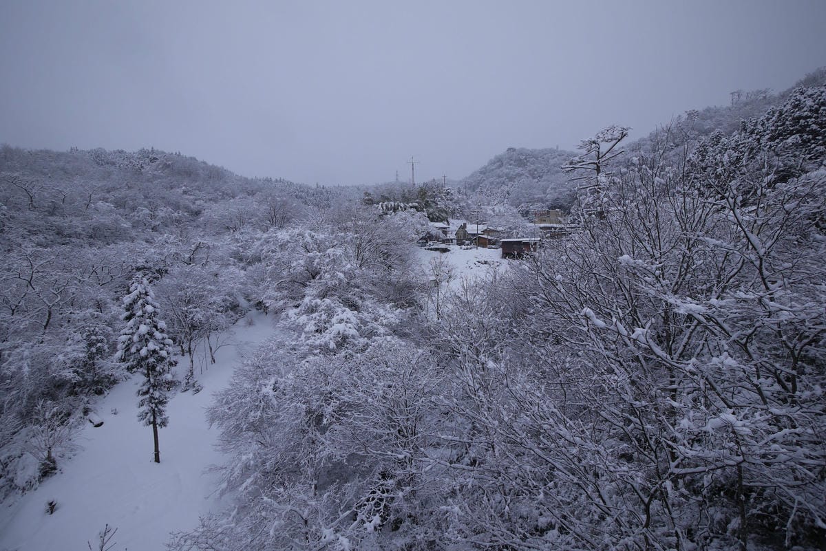 嚴冬雪見の日本東北&北海道 Day5 東北鎌先溫泉雪世界漫步 嚴冬雪見の日本東北&北海道 Day5 東北鎌先溫泉雪世界漫步