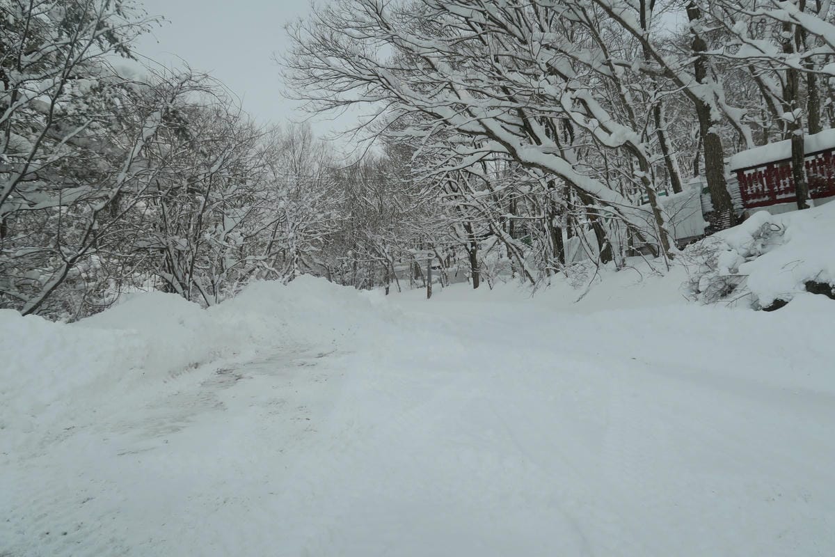 嚴冬雪見の日本東北&北海道 Day6-1 東北銀白世界的藏王 嚴冬雪見の日本東北&北海道 Day6-1 東北銀白世界的藏王