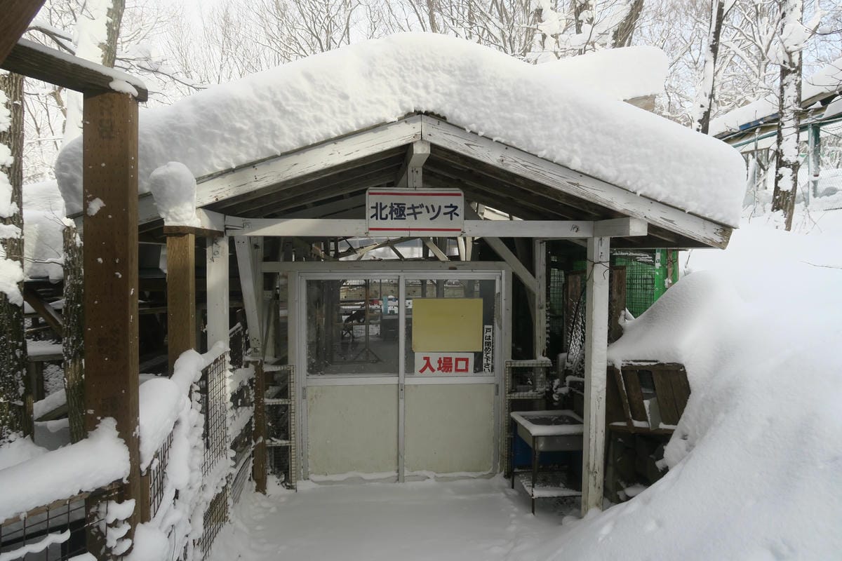 嚴冬雪見の日本東北&北海道 Day6-1 東北銀白世界的藏王 嚴冬雪見の日本東北&北海道 Day6-1 東北銀白世界的藏王