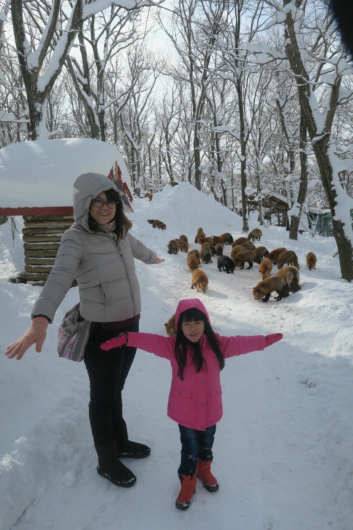 嚴冬雪見の日本東北&北海道 Day6-1 東北銀白世界的藏王 嚴冬雪見の日本東北&北海道 Day6-1 東北銀白世界的藏王