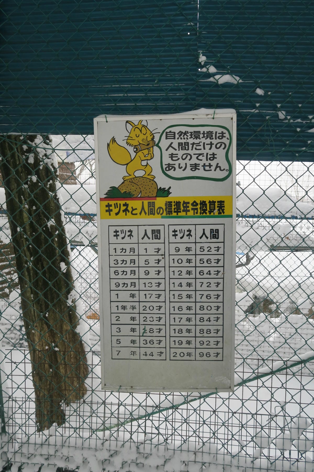 嚴冬雪見の日本東北&北海道 Day6-1 東北銀白世界的藏王 嚴冬雪見の日本東北&北海道 Day6-1 東北銀白世界的藏王