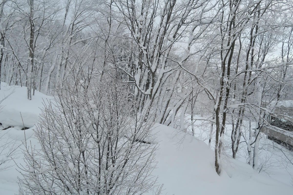 嚴冬雪見の日本東北&北海道 Day7-2 來去藏王看樹冰,入 嚴冬雪見の日本東北&北海道 Day7-2 來去藏王看樹冰,入