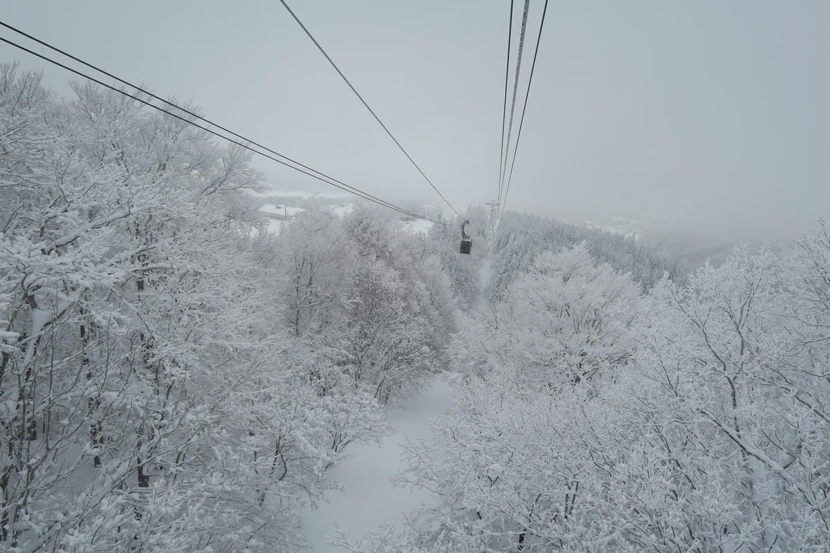 嚴冬雪見の日本東北&北海道 Day8-2 帶四歲娃上藏王山頂 嚴冬雪見の日本東北&北海道 Day8-2 帶四歲娃上藏王山頂