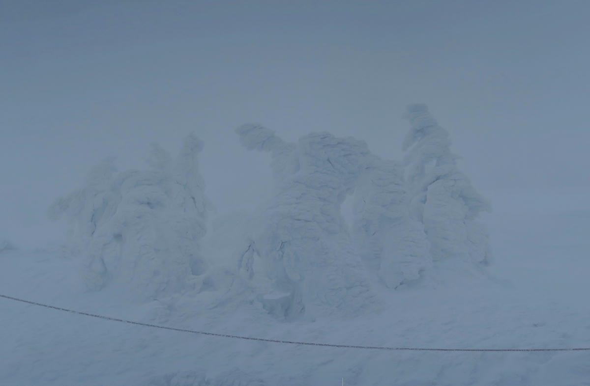嚴冬雪見の日本東北&北海道 Day8-2 帶四歲娃上藏王山頂 嚴冬雪見の日本東北&北海道 Day8-2 帶四歲娃上藏王山頂