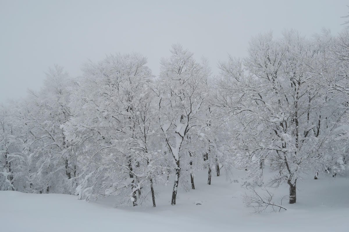 嚴冬雪見の日本東北&北海道 Day8-2 帶四歲娃上藏王山頂 嚴冬雪見の日本東北&北海道 Day8-2 帶四歲娃上藏王山頂