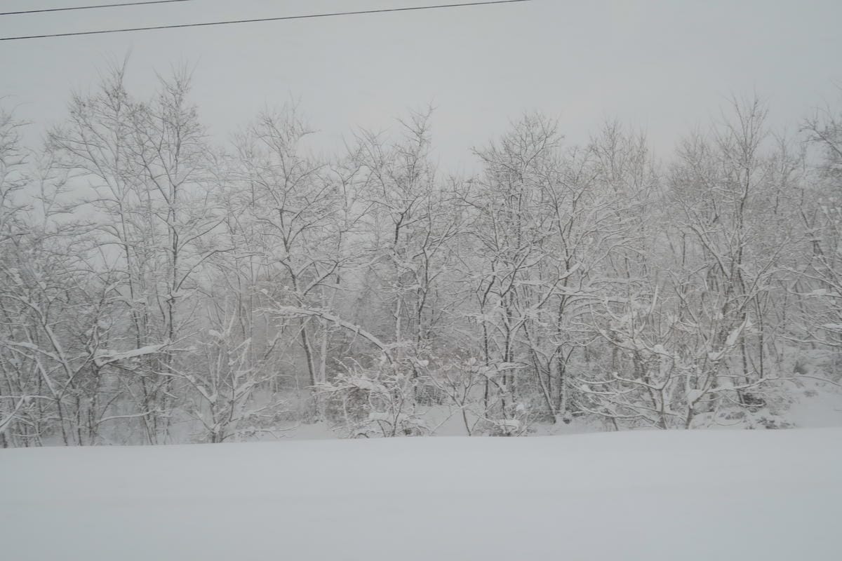 IMG_6917.JPG IMG_6917.JPG