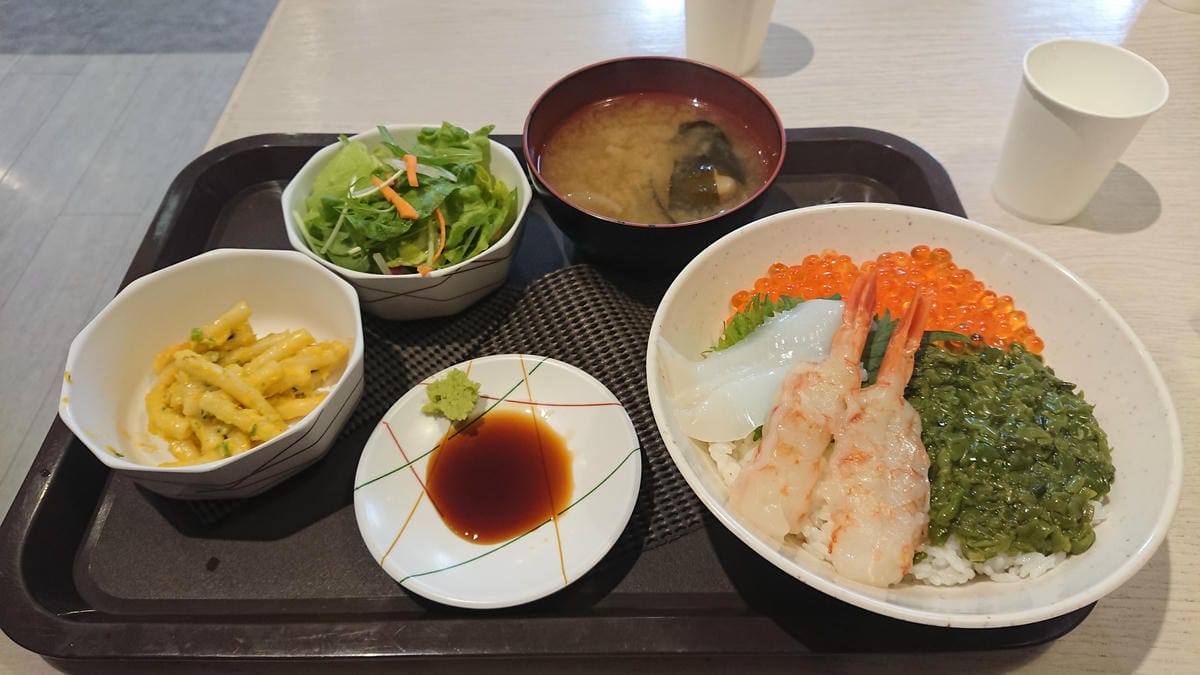 日本東北岩手縣跨年 Day3-1 蝸牛巴士漫遊盛岡 日本東北岩手縣跨年 Day3-1 蝸牛巴士漫遊盛岡