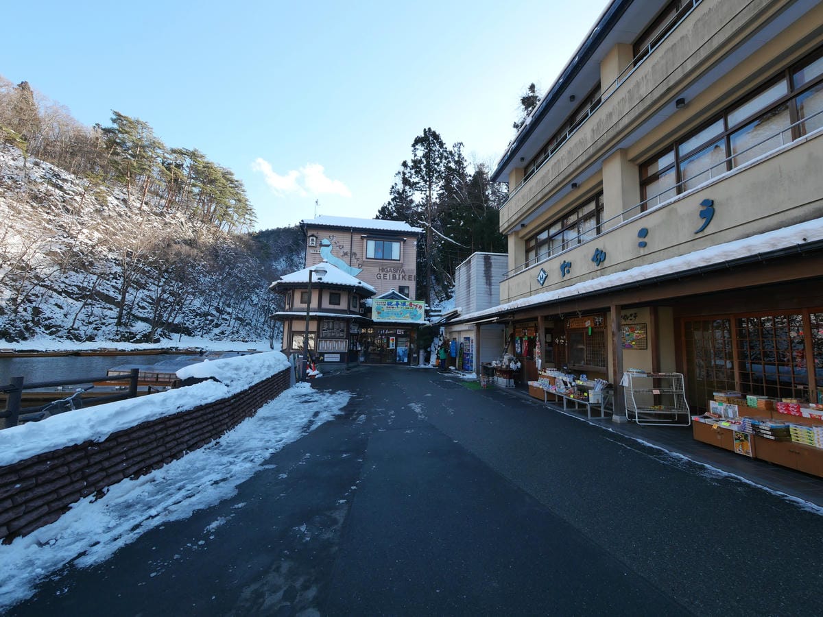 日本東北岩手縣跨年 Day4-2 來到潑墨山水畫的世界 - 