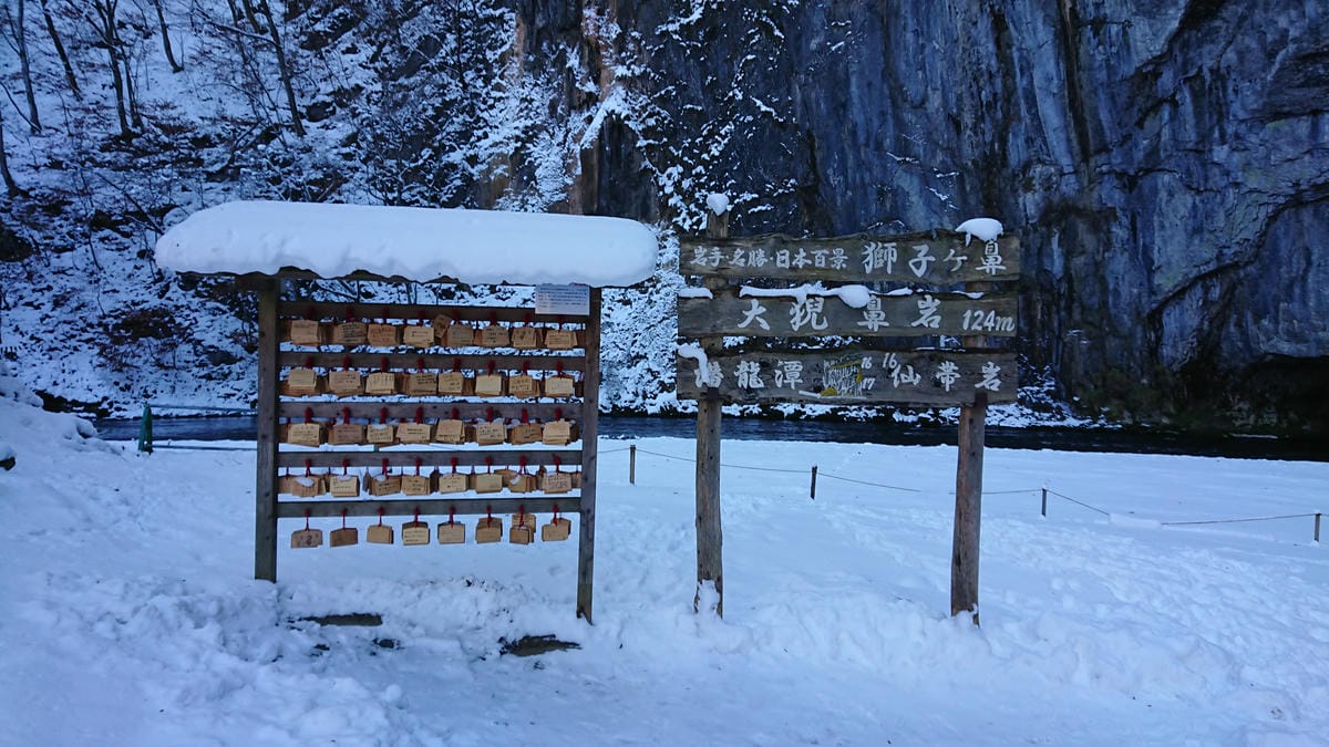 日本東北岩手縣跨年 Day4-2 來到潑墨山水畫的世界 - 