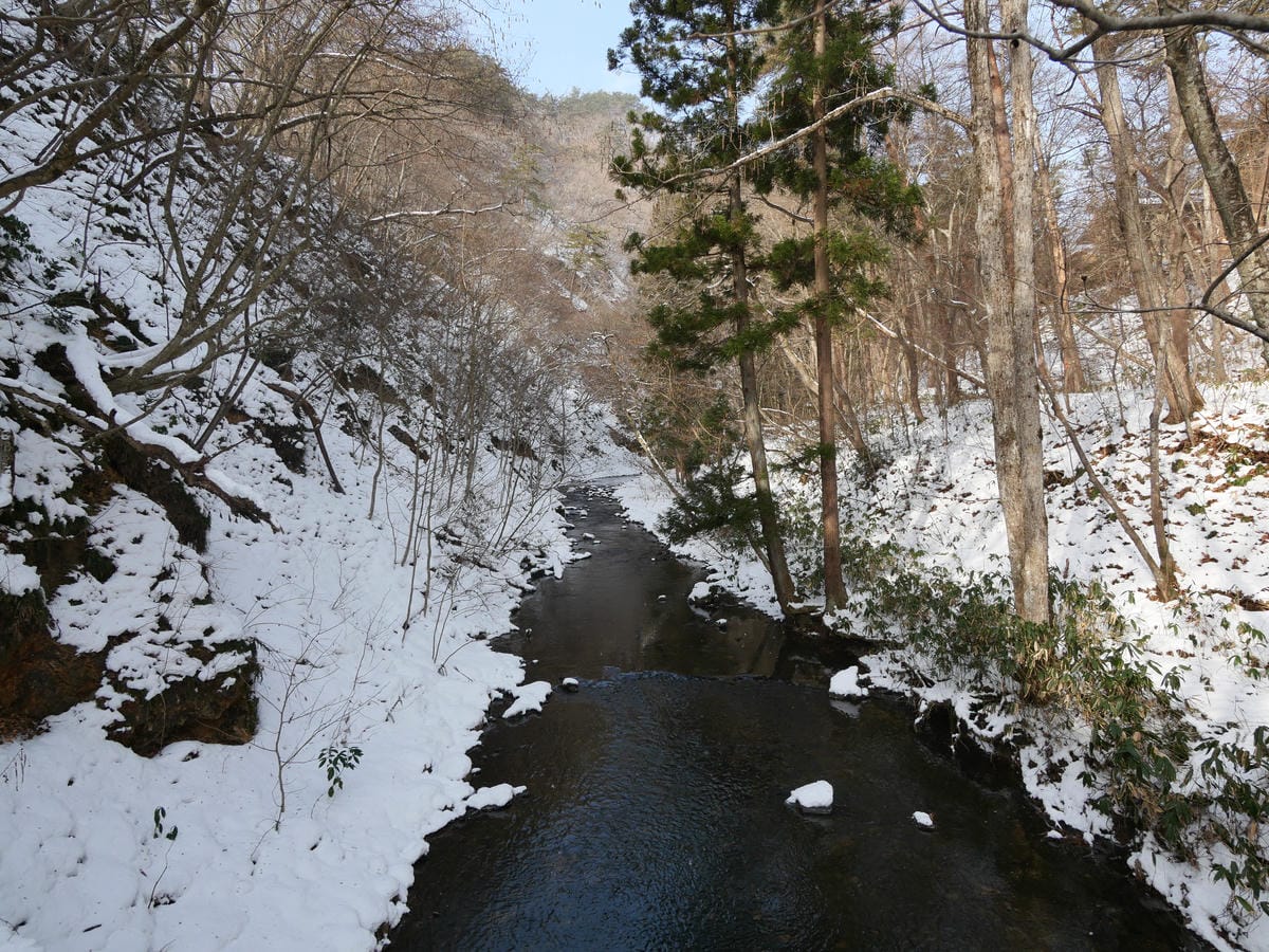 日本東北岩手縣跨年 Day5 花卷溫泉雪中散步去 日本東北岩手縣跨年 Day5 花卷溫泉雪中散步去