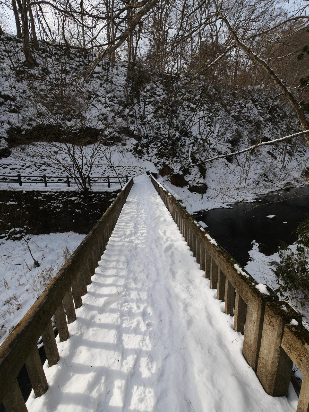 日本東北岩手縣跨年 Day5 花卷溫泉雪中散步去 日本東北岩手縣跨年 Day5 花卷溫泉雪中散步去