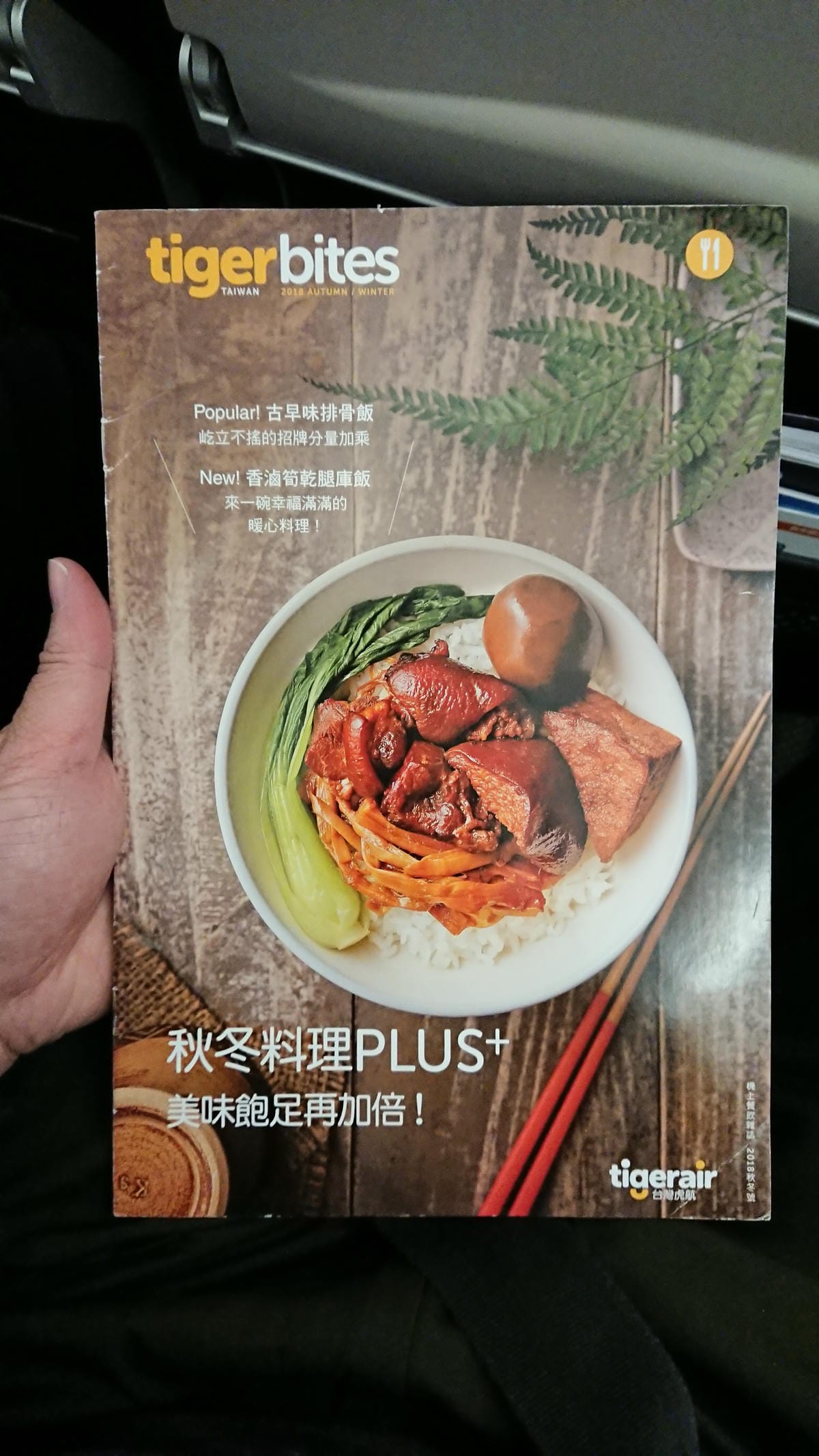 【飛行食記】花卷(HNA)-台北桃園(TPE) by 虎航(