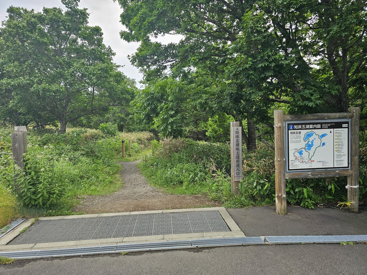 夏の北海道道東自駕遊 Day2-1 在知床五湖散步看到熊