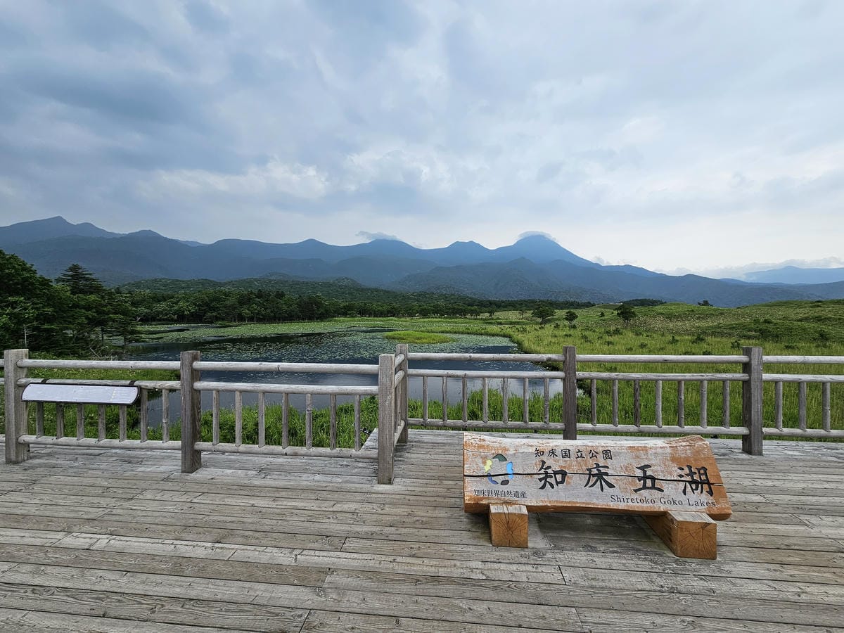 夏の北海道道東自駕遊 Day2-1 在知床五湖散步看到熊