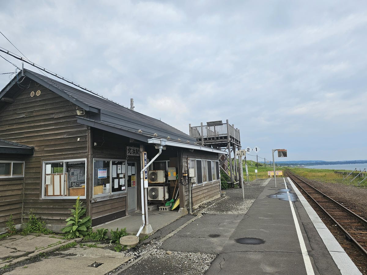 夏の北海道道東自駕遊 Day2-1 在知床五湖散步看到熊