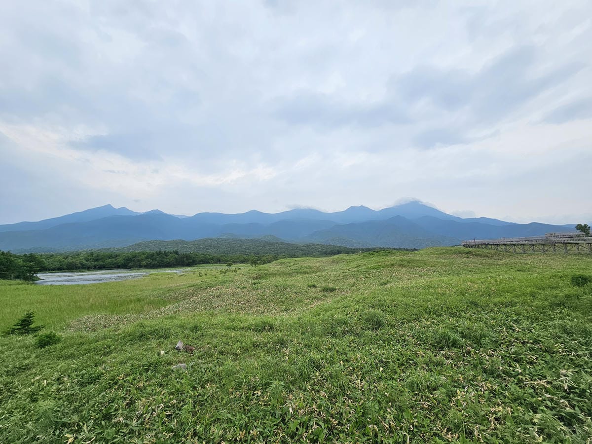 夏の北海道道東自駕遊 Day2-1 在知床五湖散步看到熊