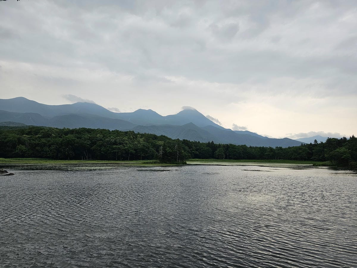 夏の北海道道東自駕遊 Day2-1 在知床五湖散步看到熊