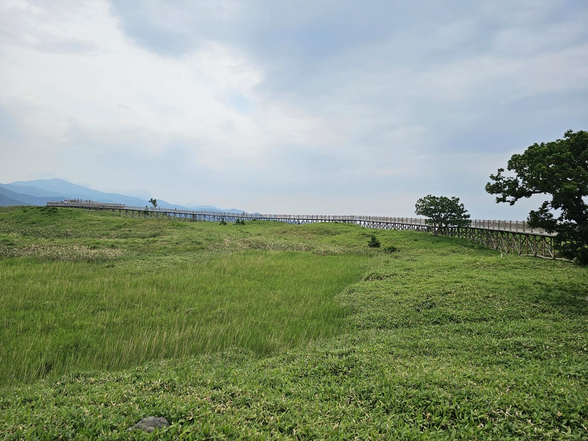 夏の北海道道東自駕遊 Day2-1 在知床五湖散步看到熊