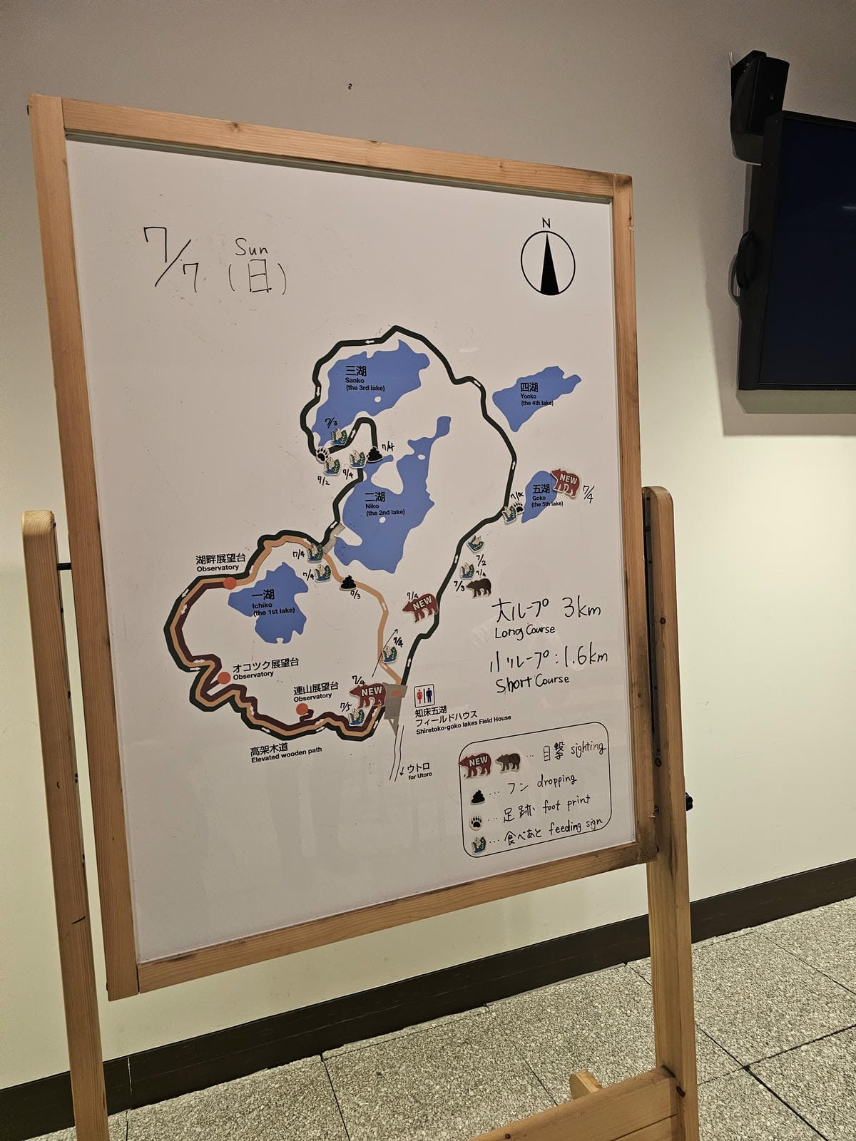 夏の北海道道東自駕遊 Day2-1 在知床五湖散步看到熊
