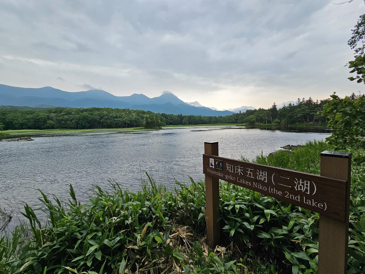 夏の北海道道東自駕遊 Day2-1 在知床五湖散步看到熊