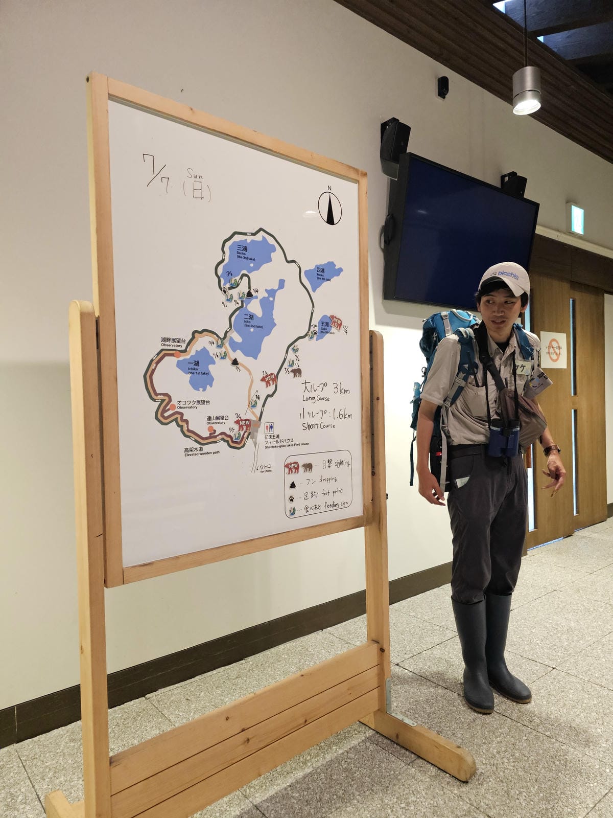 夏の北海道道東自駕遊 Day2-1 在知床五湖散步看到熊