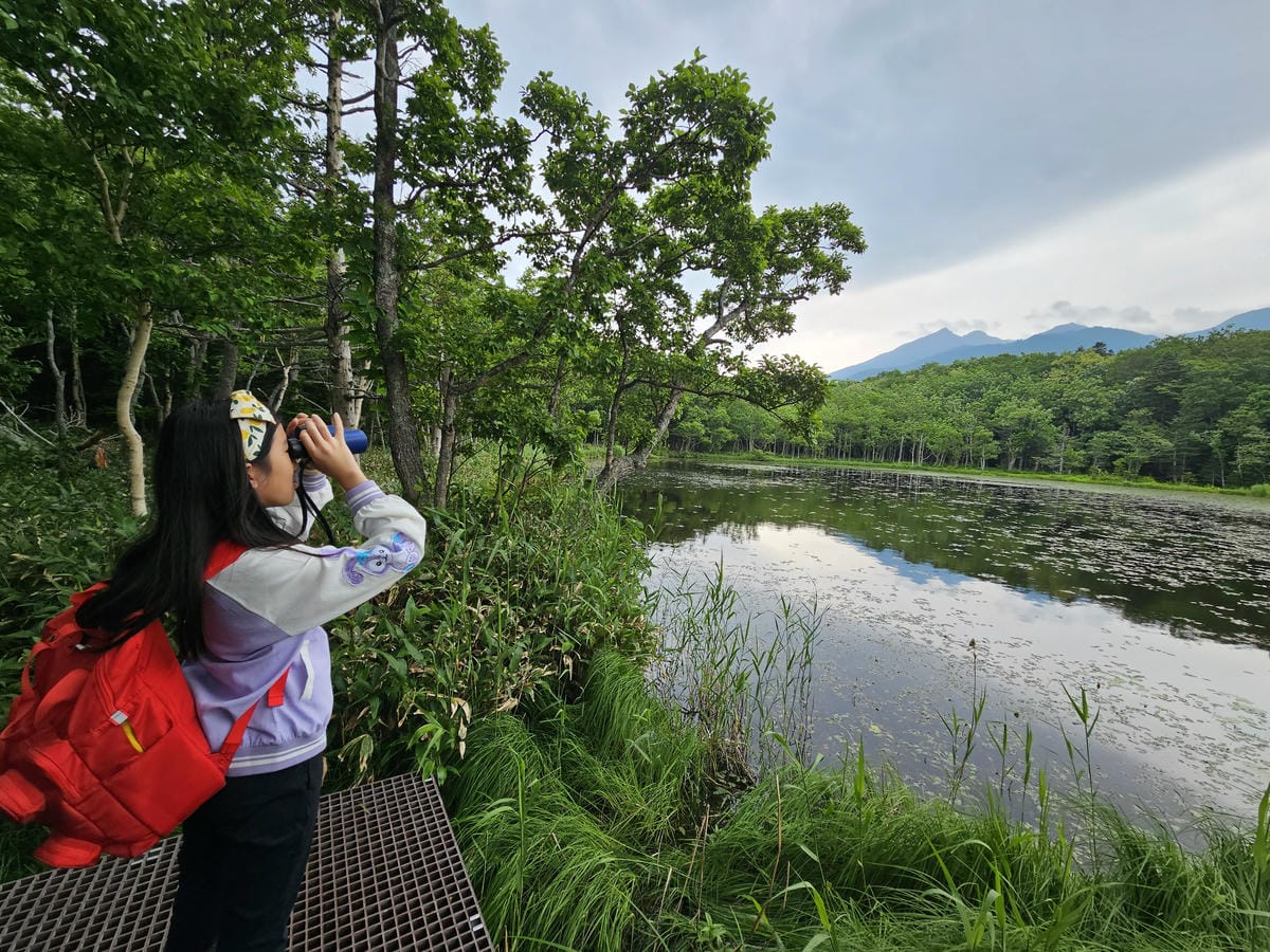 夏の北海道道東自駕遊 Day2-1 在知床五湖散步看到熊