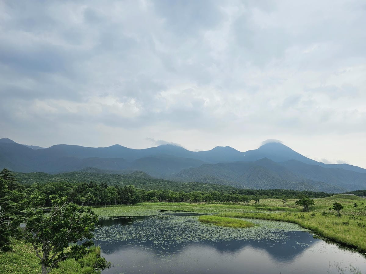 夏の北海道道東自駕遊 Day2-1 在知床五湖散步看到熊