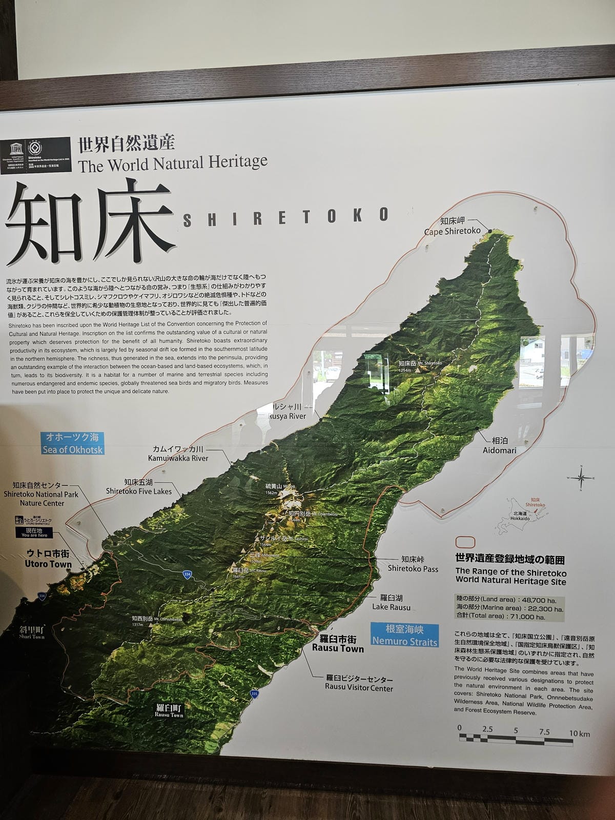 夏の北海道道東自駕遊 Day2-1 在知床五湖散步看到熊