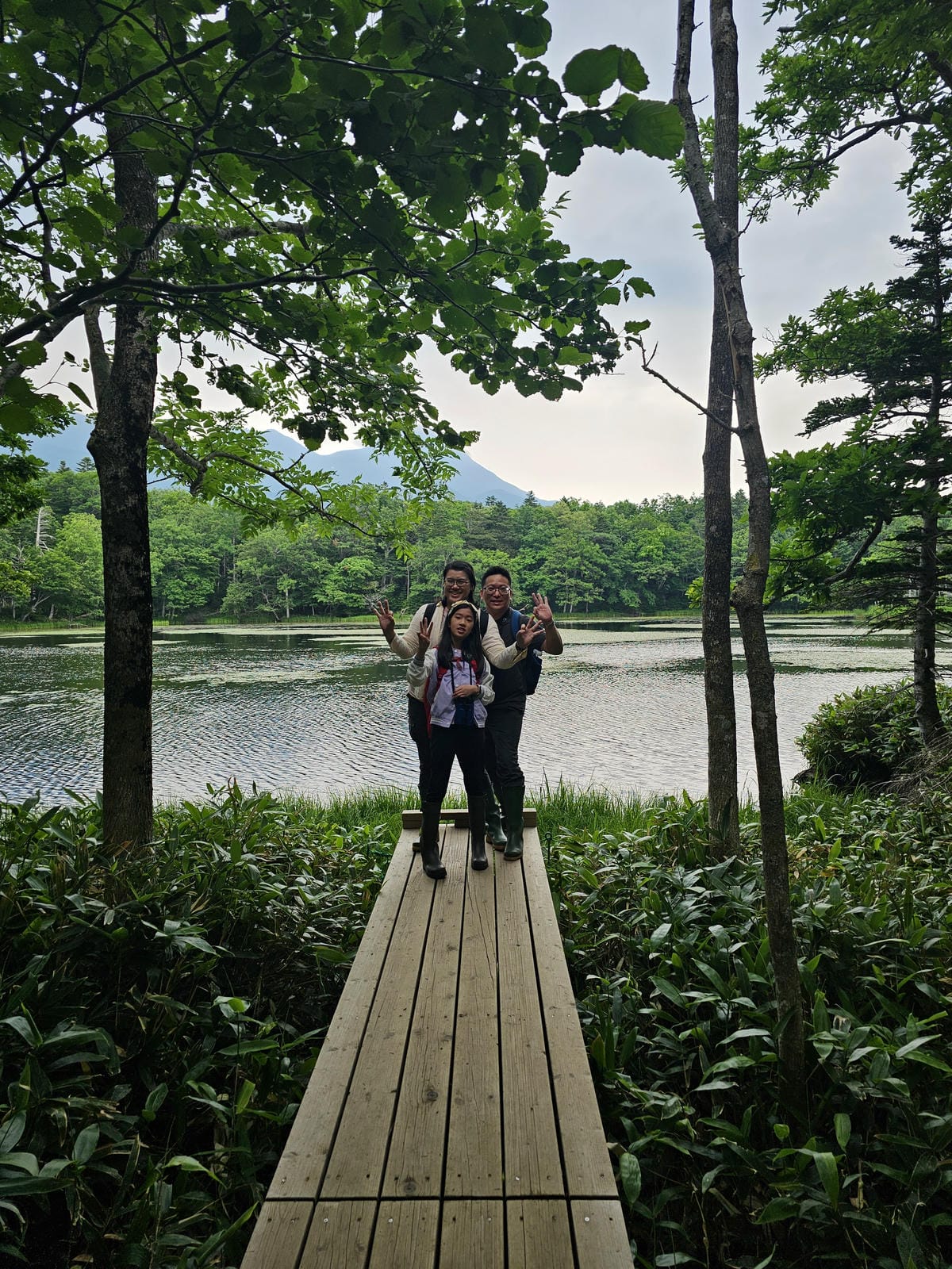 夏の北海道道東自駕遊 Day2-1 在知床五湖散步看到熊